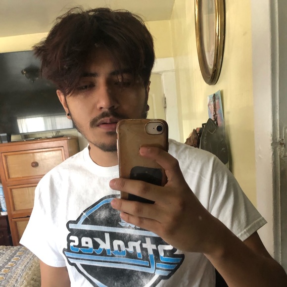 Meet your Posher, Leonardo - Picture 1 of 1